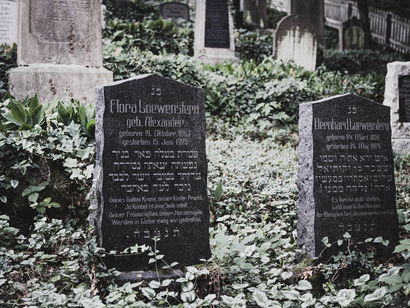 Bodenfeldem Jüdischer Friedhof